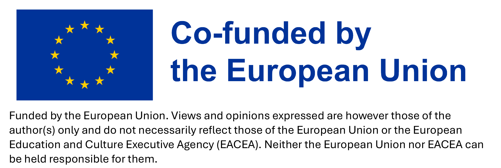 Co-funded by the European Union